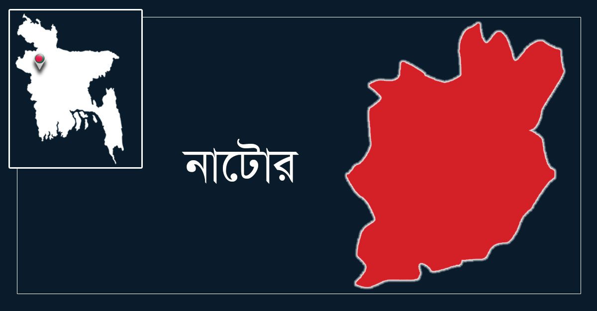 নাটোরে ১৬ বছরে ৯৫টি আগ্নেয়াস্ত্রের লাইসেন্স, জমা পড়ল ৮৯টি