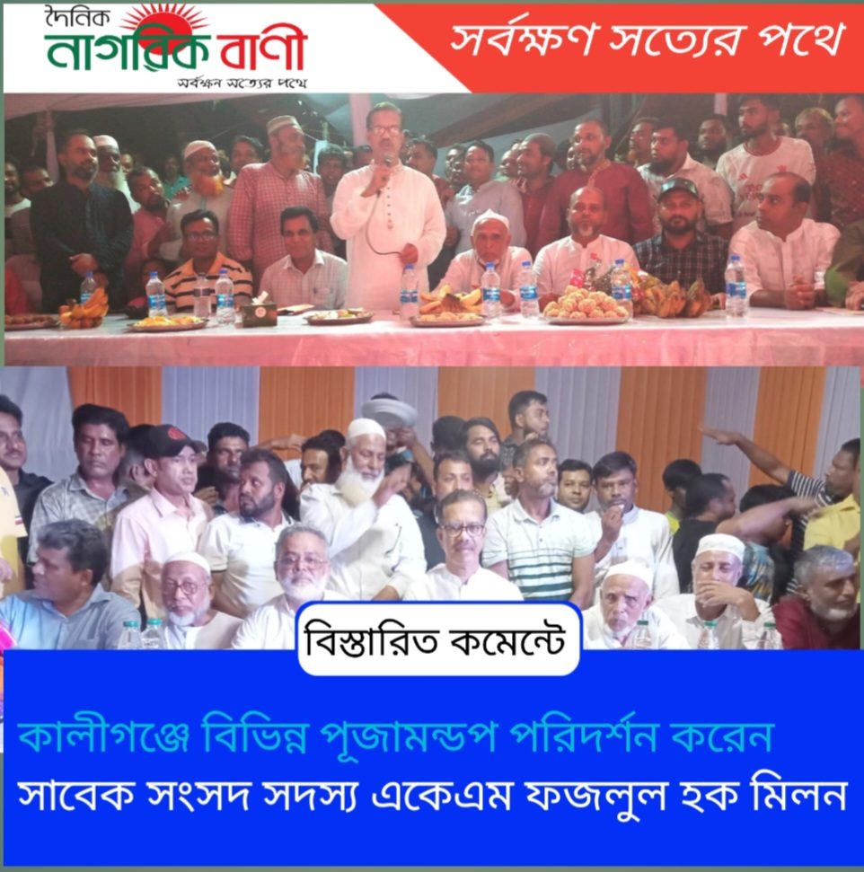 কালীগঞ্জে বিভিন্ন পূজামন্ডপ পরিদর্শন করেন সাবেক সংসদ সদস্য একেএম ফজলুল হক মিলন