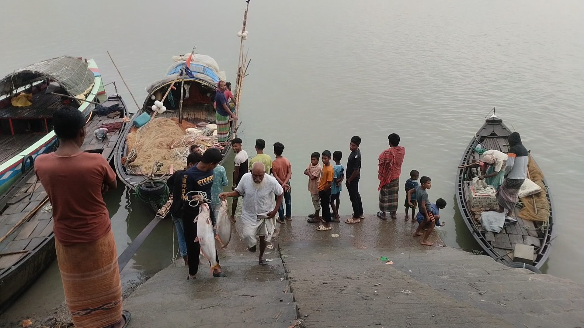 মুন্সীগঞ্জে ইলিশ ধরার জালে ধরা পড়ছে ঝাকে ঝাকে পাংগাস