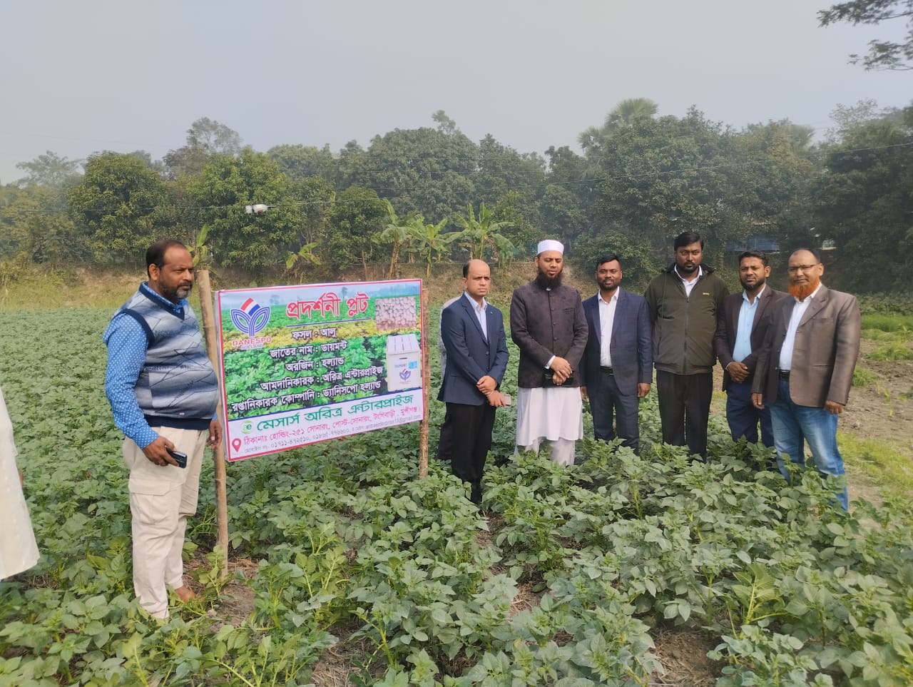 হল্যান্ডের ড্যানিসপো বীজ আলুর গাছ পরিদর্শনে ইউএনও