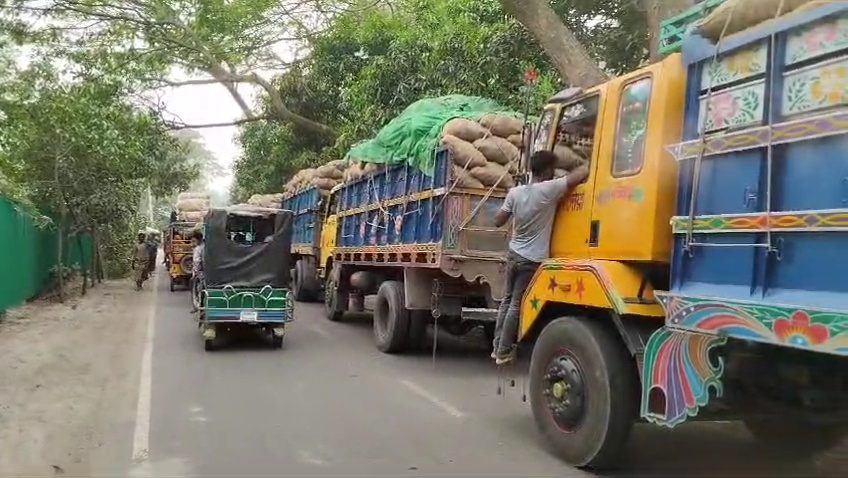 মুন্সীগঞ্জে টঙ্গীবাড়ীতে আলুর ভালো ফলনেও হতাশায় কৃষক ।