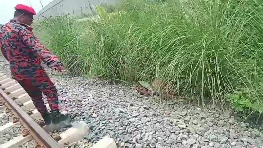 মুন্সীগঞ্জে রেললাইনের পাশে অজ্ঞাত পুরুষের মাথার খুলিবিহীন মরদেহ উদ্ধার