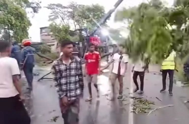 ঝড়ে গাছ পড়ে মহাসড়কে গজারিয়ায় যানজট
