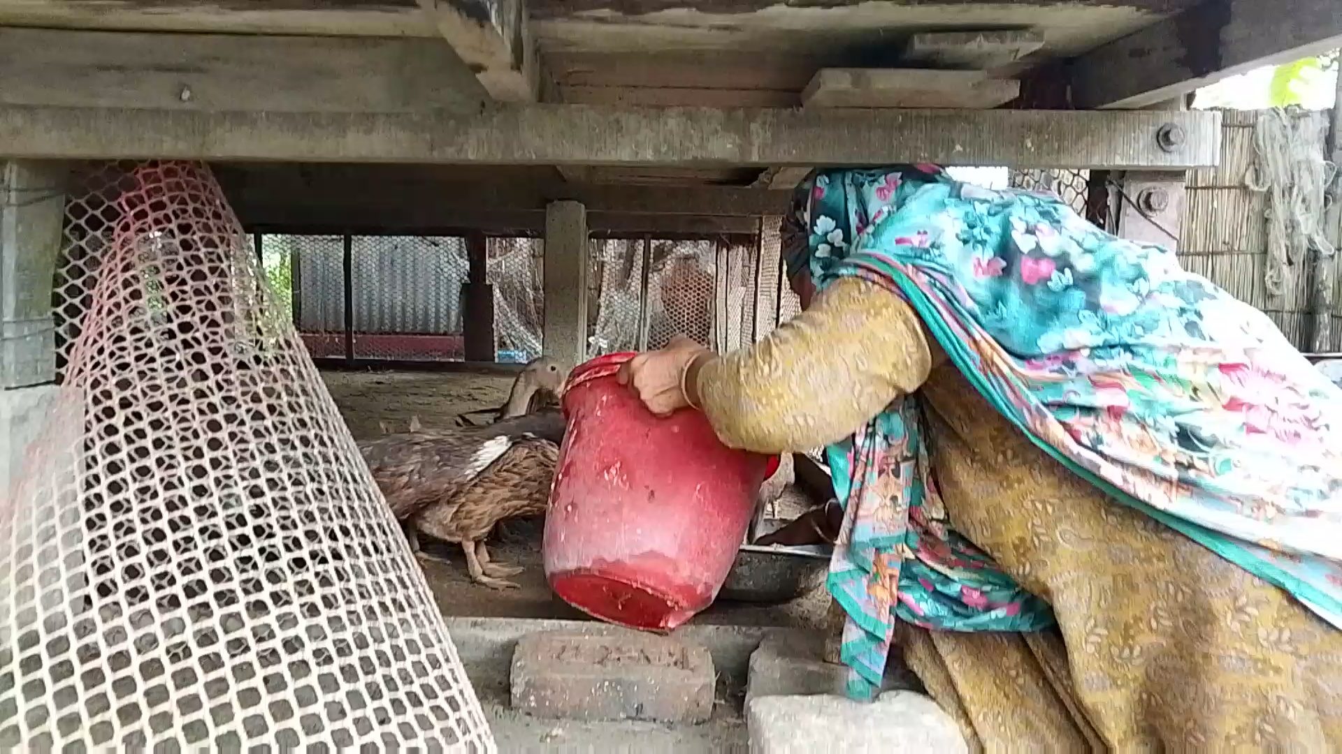 টঙ্গীবাড়ীতে ১,২২০ অসহায় পরিবার পেল স্বাবলম্বী হওয়ার সুযোগ: হাঁস-মুরগি ও ঘর নির্মাণের সহায়তা পেলো ।