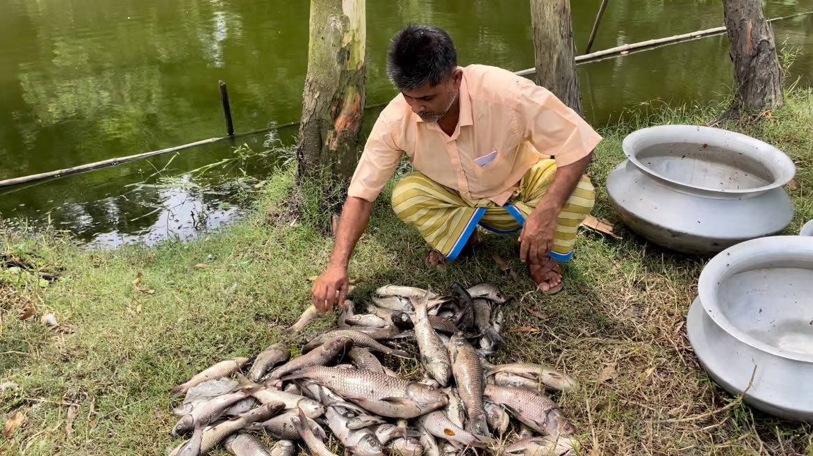 সিরাজদিখানে পুকুরে বিষ প্রয়োগে মাছ নিধনের অভিযোগ, ক্ষতি সাড়ে ৪ লাখ টাকা