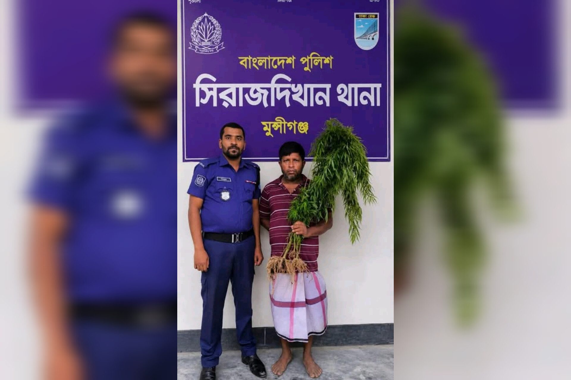 সিরাজদিখানে এলাকাবাসীর সহযোগিতায় ৫টি গাঁজা গাছসহ মাদক কারবারি আটক, পুলিশের হাতে সোপর্দ